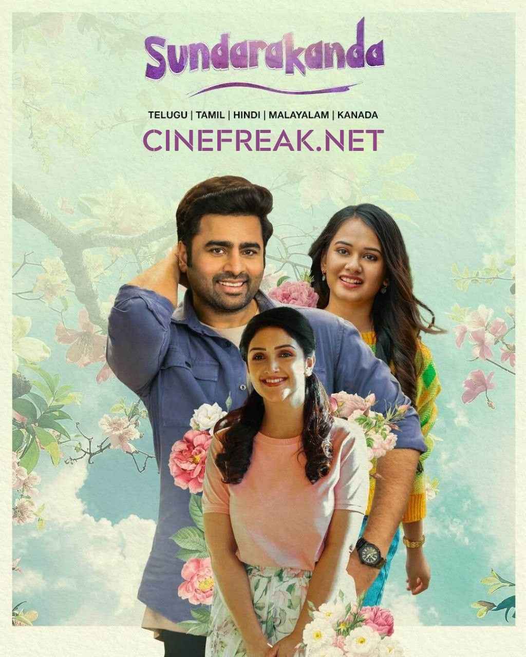 Sundarakanda (2025) Hindi Dubbed Hindi Telugu Movie Poster - CineFreak
